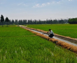 政院学子｜脱衣舞
硕士研究生李雨璇参与「百县笃行计划」实践团，前往松江区实习实践